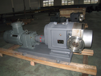 普利施65PLST6-10 日用化工轉(zhuǎn)子泵,甘油、化妝品料漿輸送泵 價格優(yōu)惠歡迎咨詢圖片_高清圖_細節(jié)圖-江蘇普利施泵業(yè) -